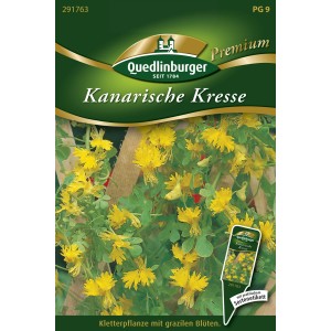 Samenpackung Quedlinburger Kanarische Kresse mit gelben Blüten, Kletterpflanze für Garten & Balkon.