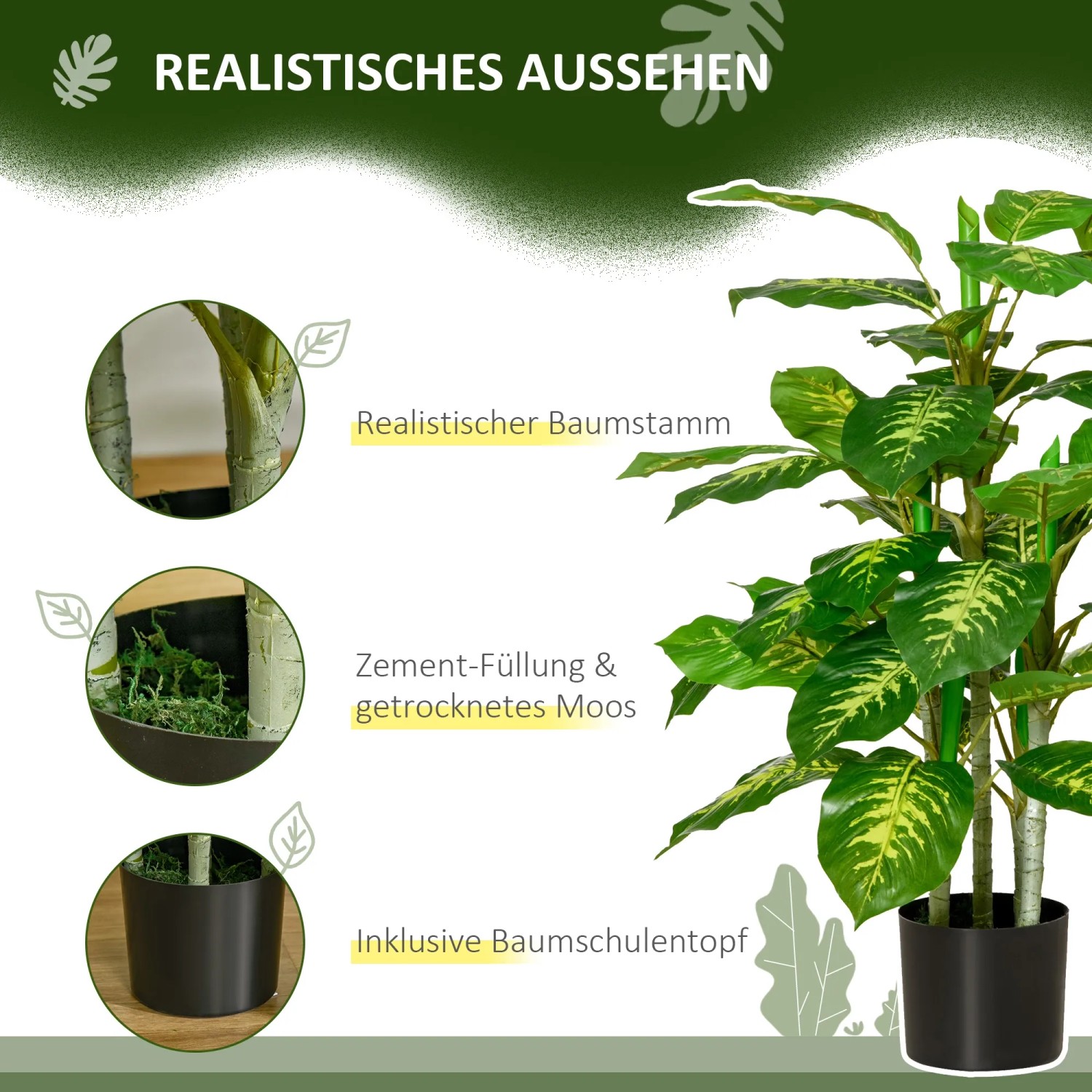philodendron monstera minima Rhaphidophora tetrasperma - Monstera minima Houseplants | Hortology main image 0