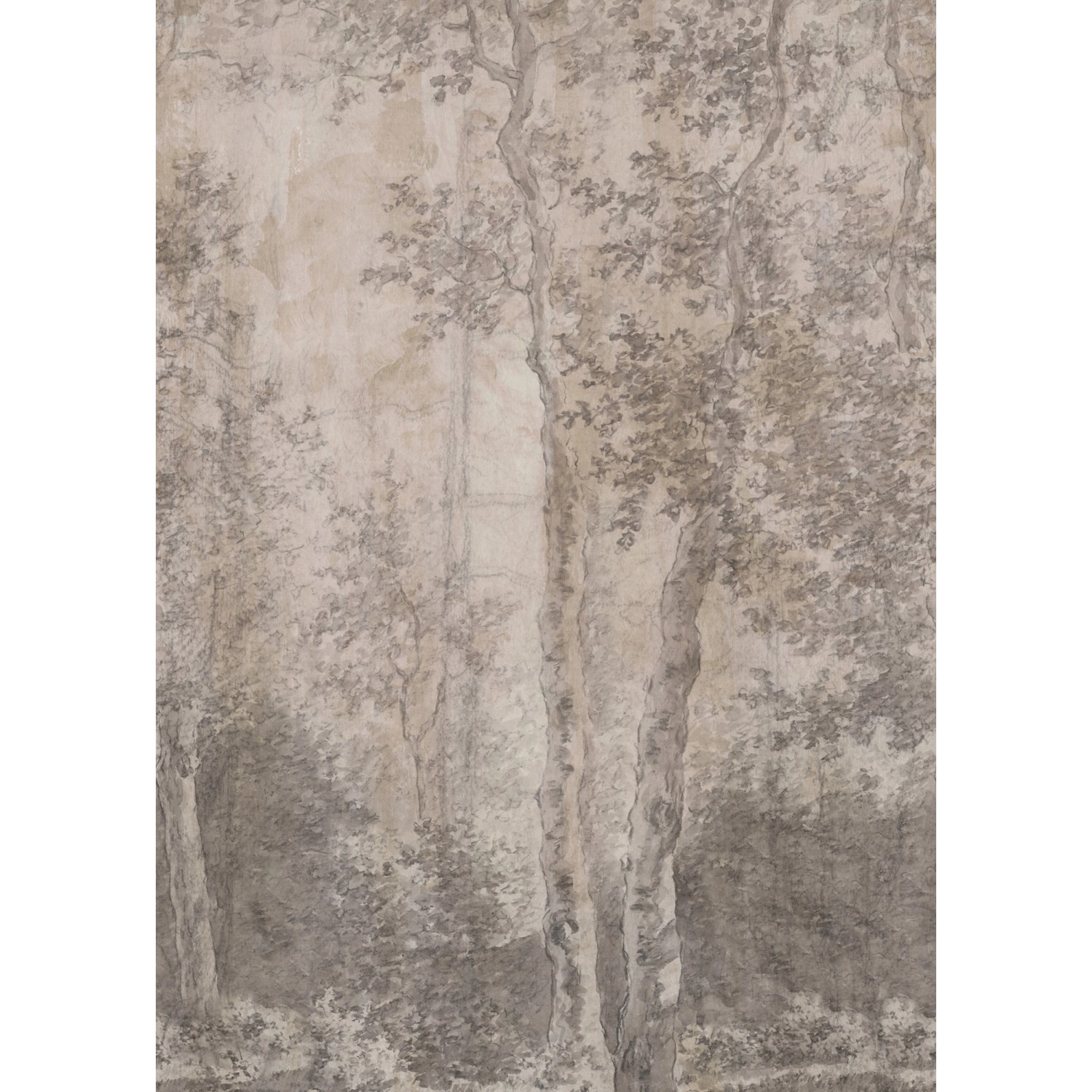 LOOKS Fototapete Vlies Birchtrees Grau 2,7 m x 3 m FSC®