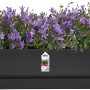 Elho Greenville Blumenkasten, 18,5x69 cm, Living Schwarz, mit lila Blumen bepflanzt.