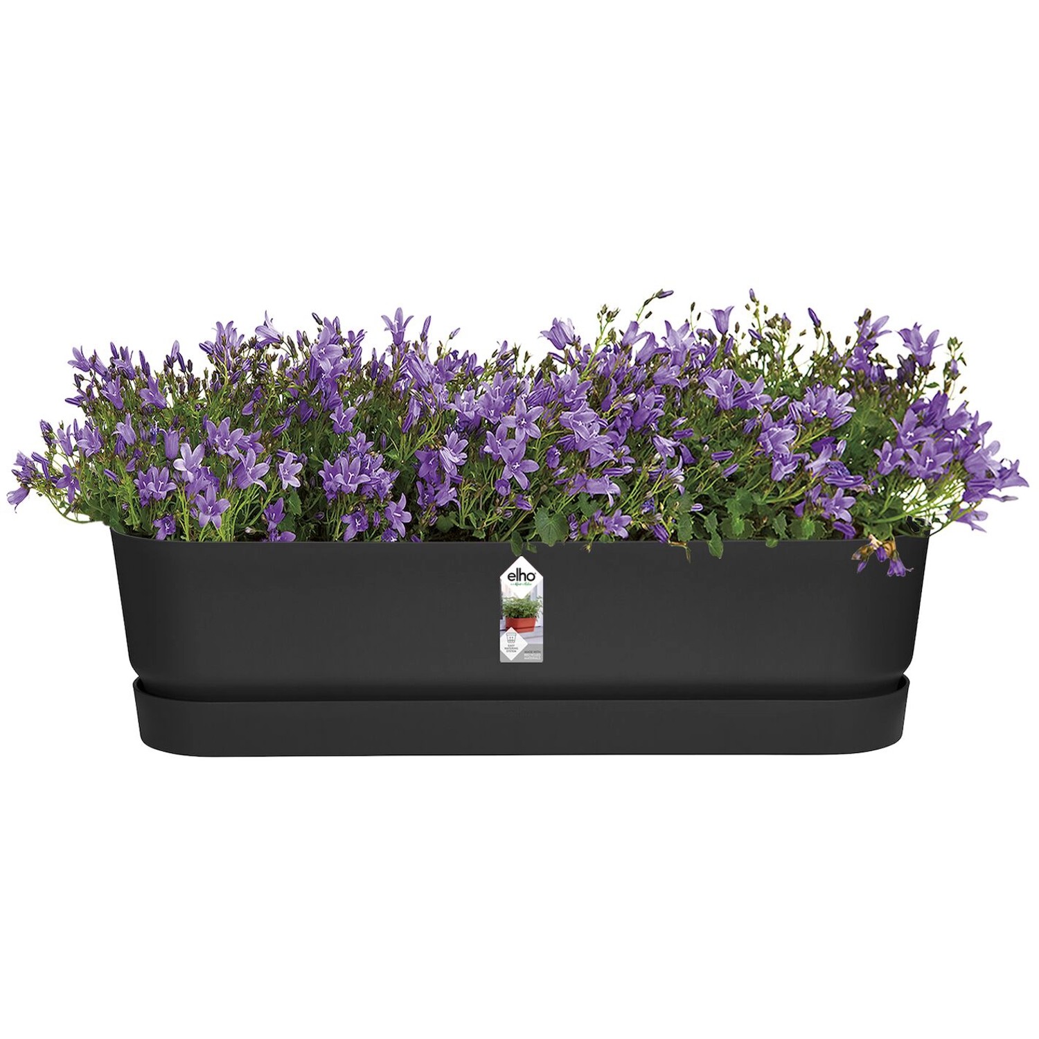 Elho Greenville Blumenkasten, 18,5x69 cm, Living Schwarz, mit lila Blumen bepflanzt.