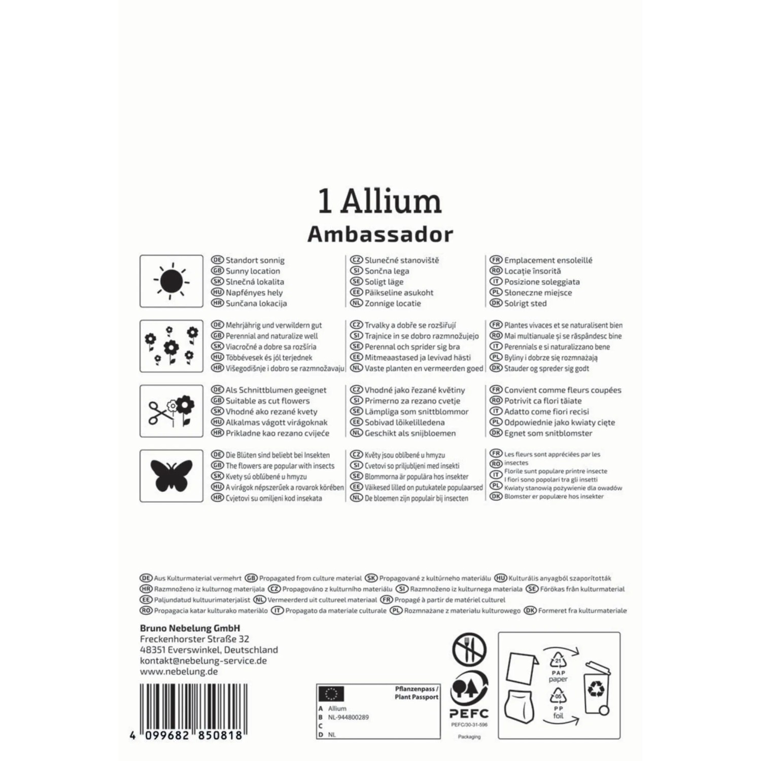Kiepenkerl Zierlauch 'Ambassador' Blumenzwiebel, Verpackung mit Infos zu Pflanzung und Eigenschaften.