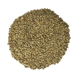 Klasebo Hanfsaat 10kg für Vögel, Nager und Pferde, reich an Vitaminen und Mineralstoffen.