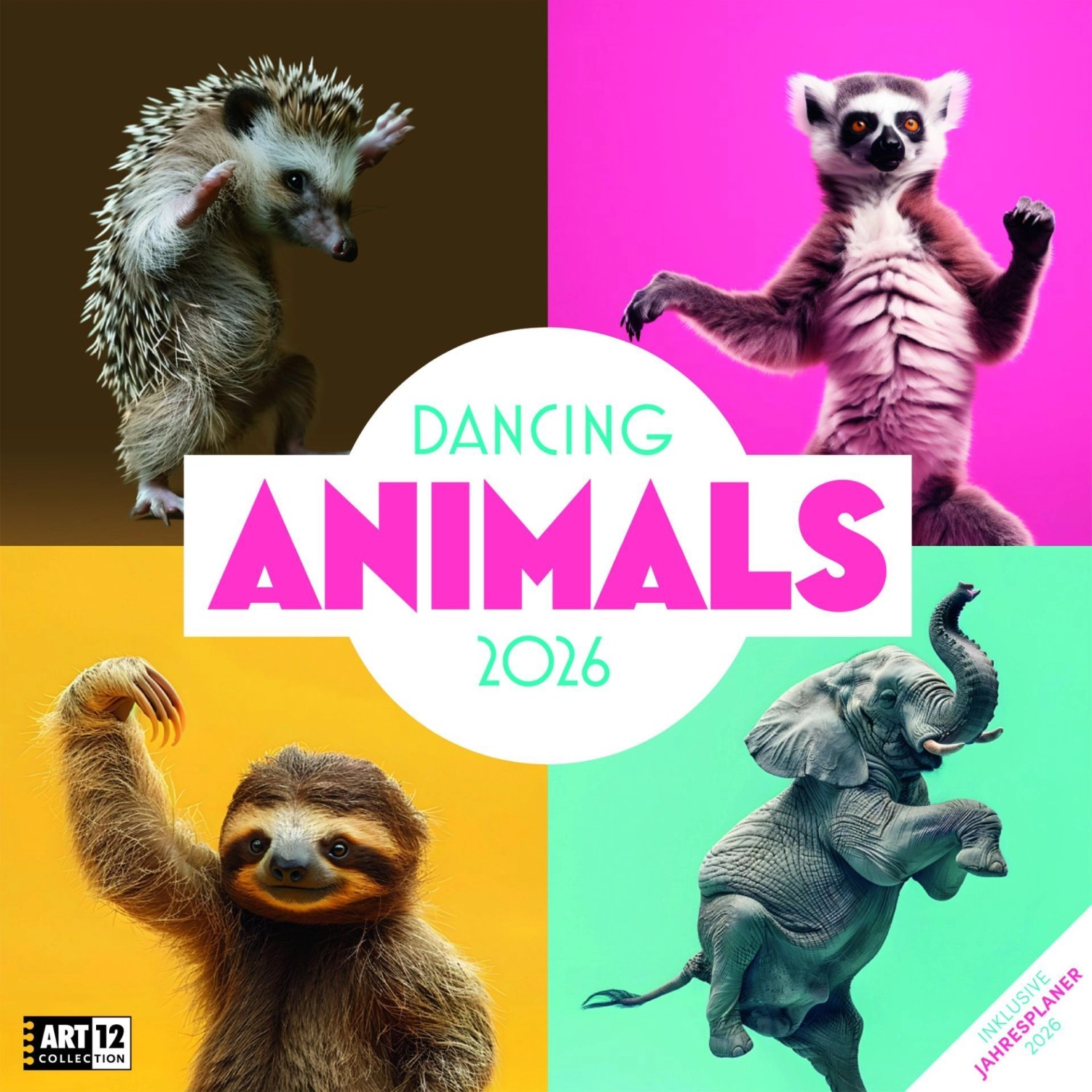 Dancing Animals Kalender 2026 - 30x30 günstig online kaufen