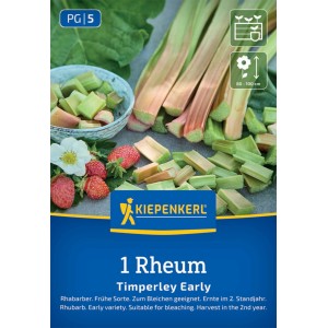 Kiepenkerl Rhabarber Timperley Early Rheum rhabarb.