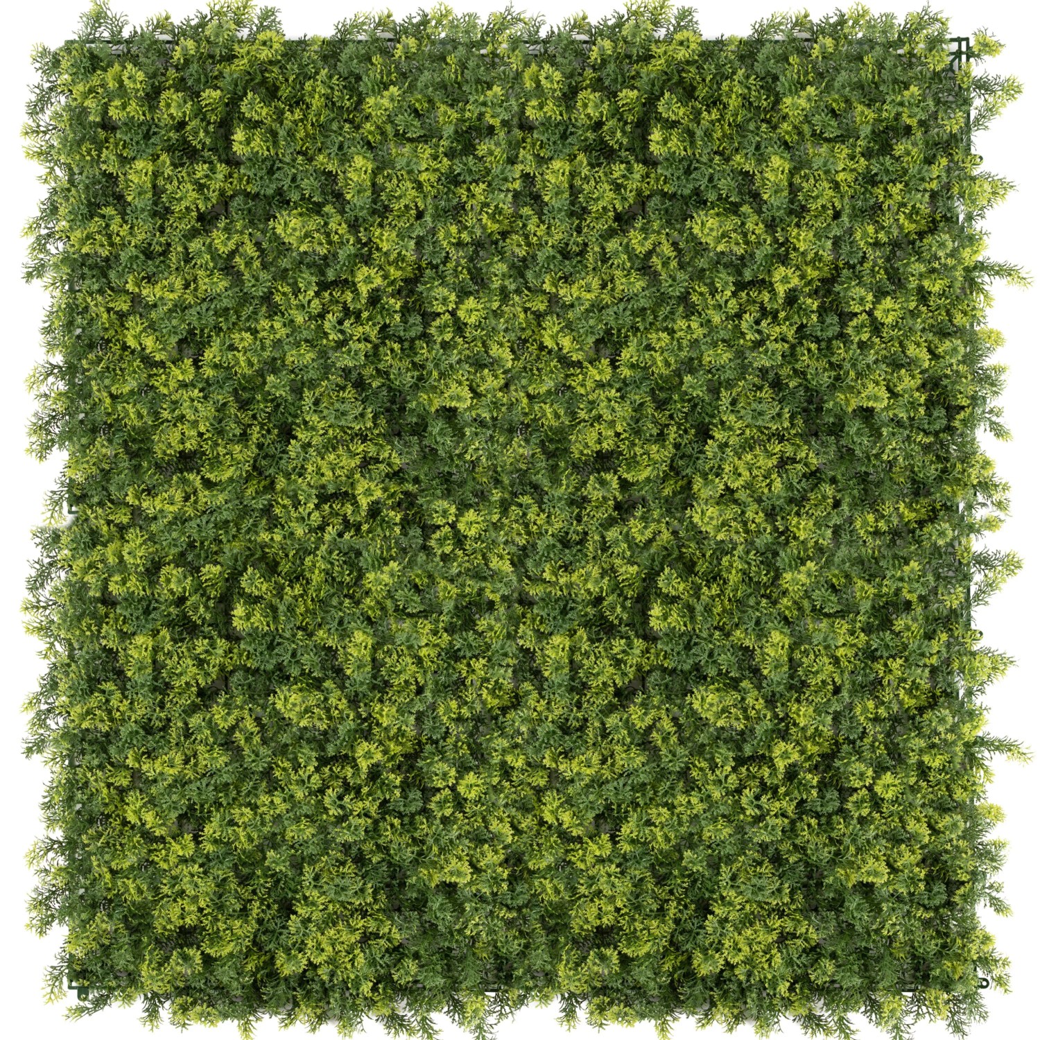 Primaflor Kunsthecke Moos Grün 100x100cm günstig online kaufen