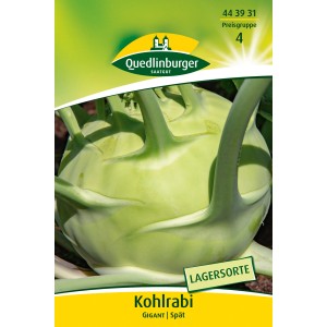 Samenpackung Quedlinburger Kohlrabi 'Gigant', eine großfallende und gut lagerfähige Sorte.