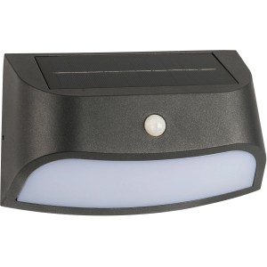 AEG LED-Außenwandleuchte Payton Solar mit Bewegungsmelder, graue Außenlampe.