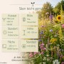 Buntes Wildblumenfeld mit Infografik: LaCaTho Lebensraum 1 Mischung, 50000 Samen, mehrjährig, für Halbschatten, 100-150 cm hoch.