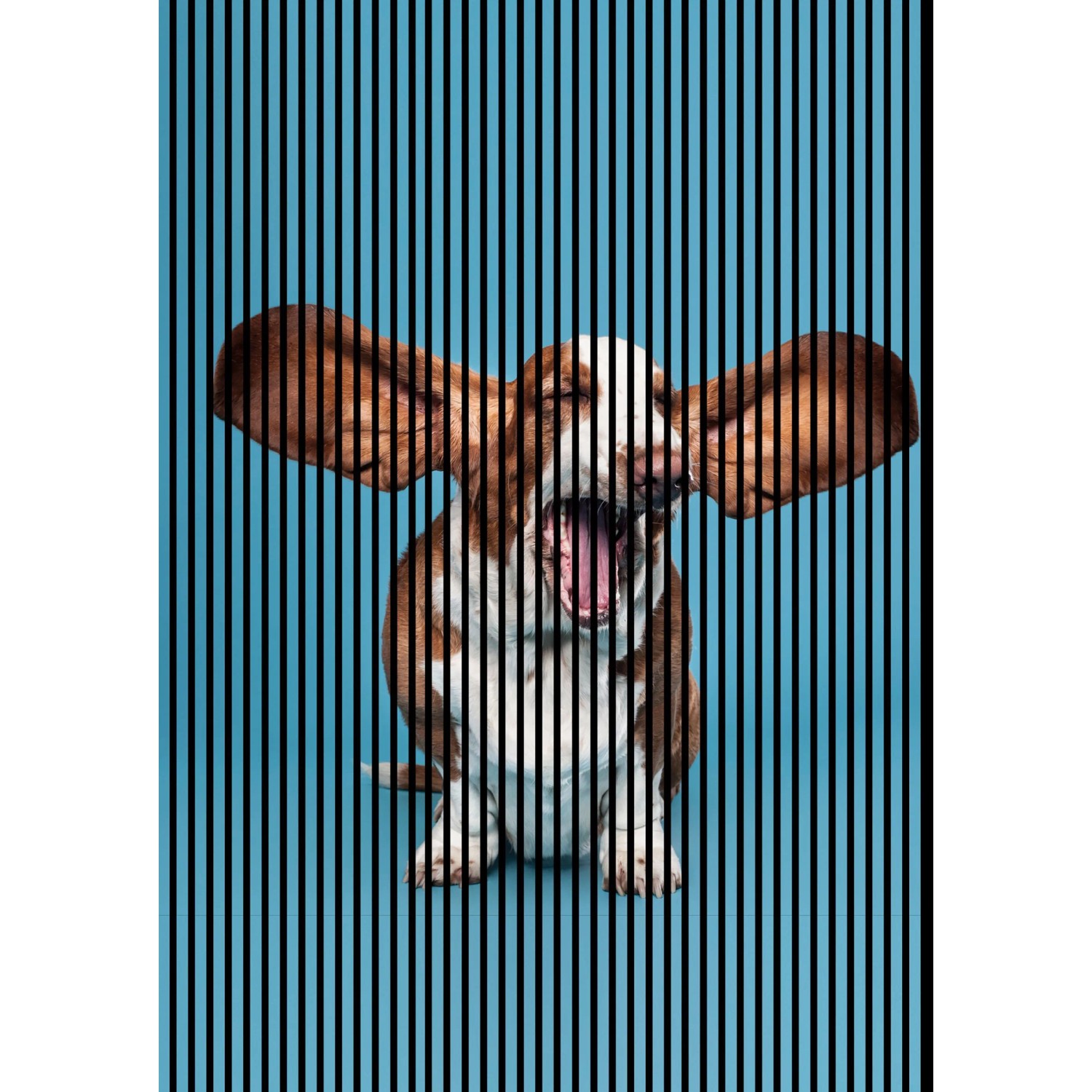 FN Acustico Akustikplatte Dog 1 PET u. MDF Foliert 1.693 x 19 x 2.400 mm