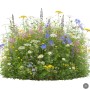 Bunte Kräutermischung für Weiden mit blühenden Samen. Zeigt gelbe, weiße, blaue und rosa Blüten für Kräuterrasen.