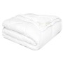 Beautissu 2er Set 4-Jahreszeiten Bettdecke 155x220 650/1000g