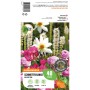 GROW by OBI Schmetterlinge-Kollektion: Blumenzwiebeln für ein Blütenparadies.