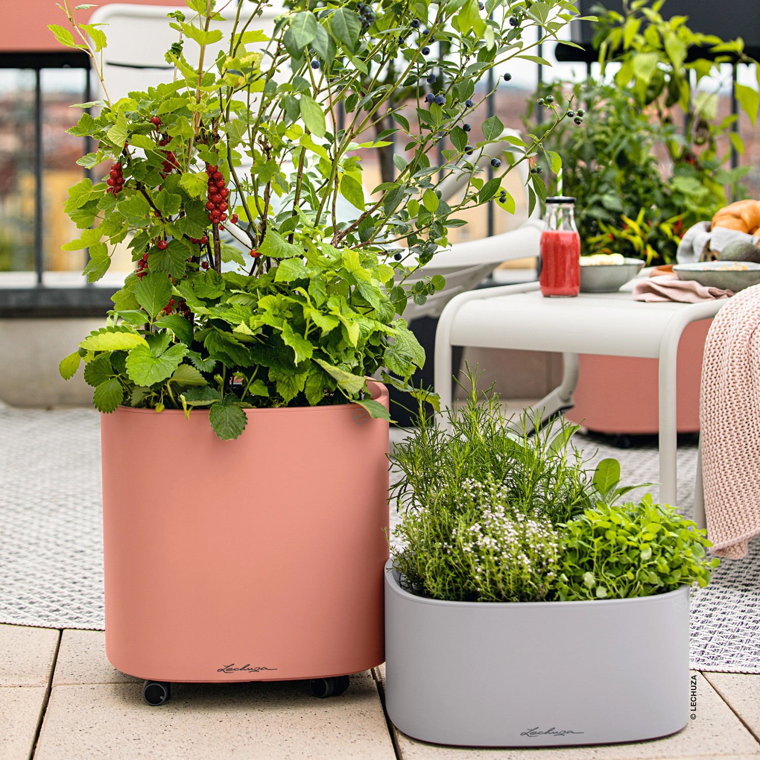 Korallroter Lechuza Pila Color Pflanzkübel (35x35x33 cm) mit Bepflanzung auf einer Terrasse.