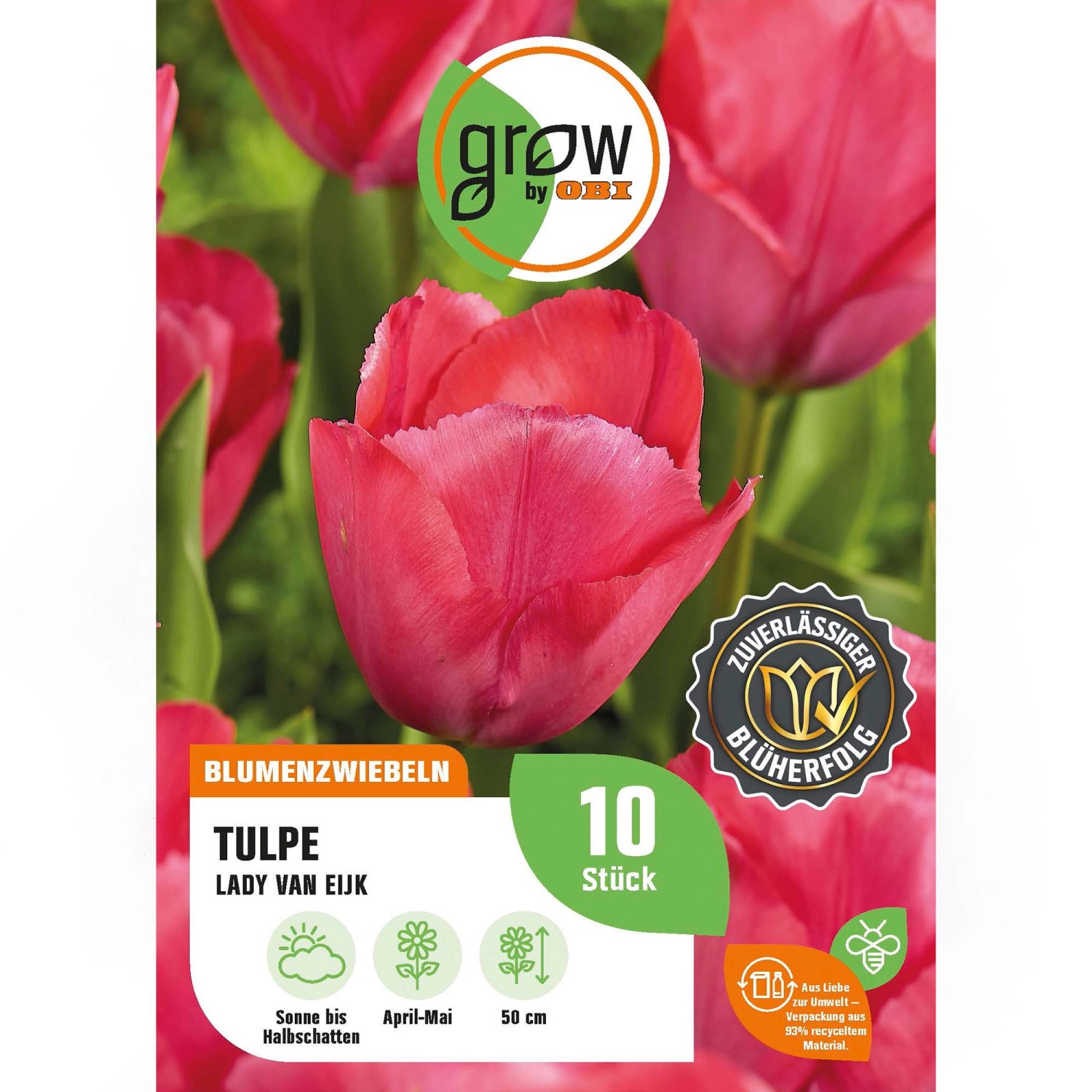 GROW by OBI Tulpe Darwin Hybrid 