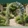 Schwarzer Relaxdays Rosenbogen aus Eisen, bewachsen mit Kletterpflanzen, als Gartendeko.