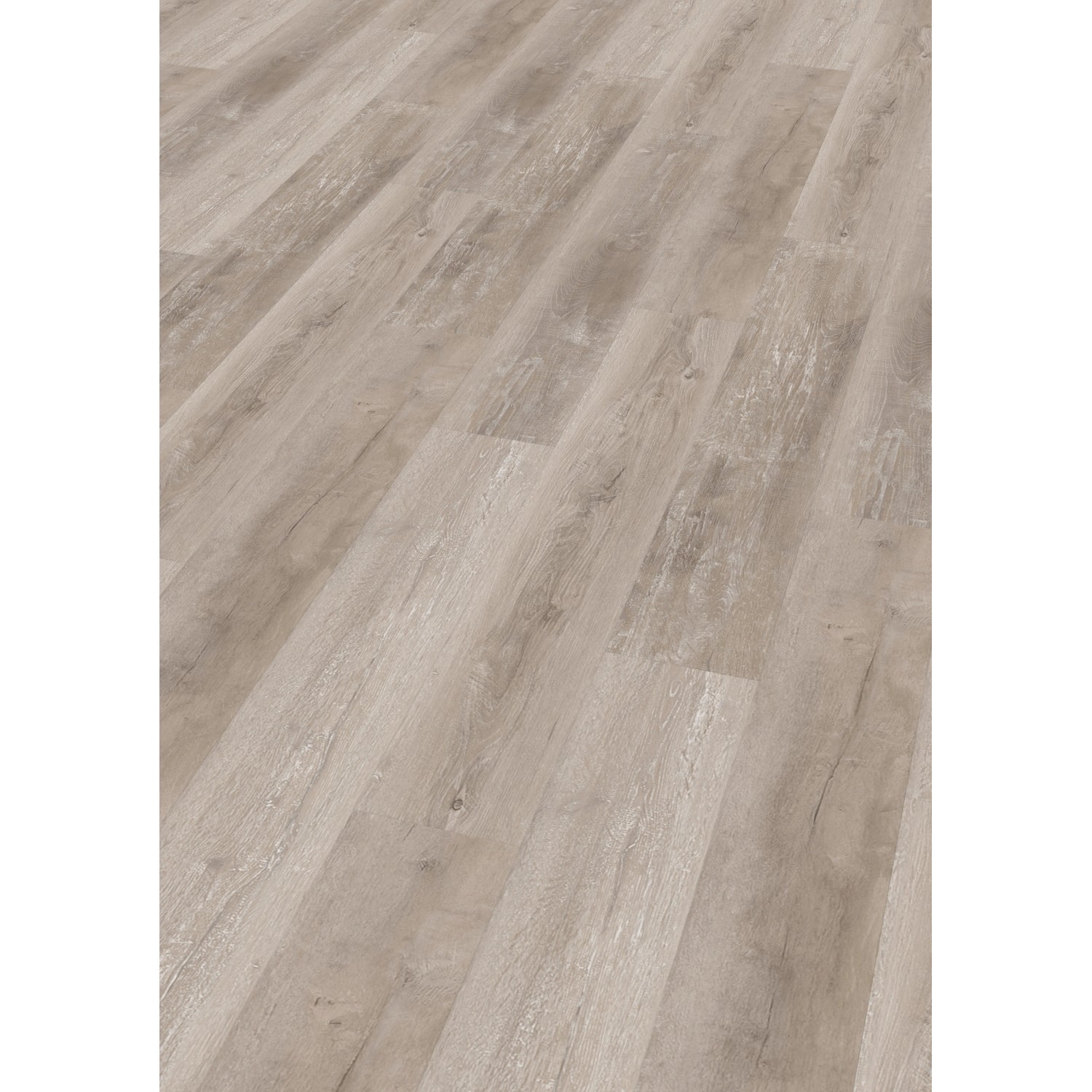 Click-Vinylboden SPC Gaborone Eiche günstig online kaufen