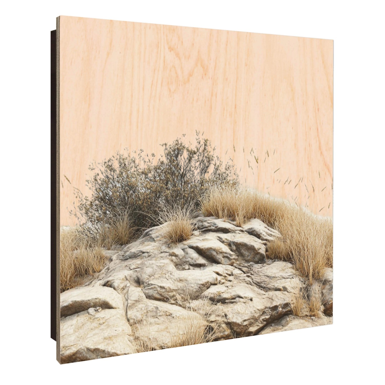 Banjado Großer Schlüsselkasten Holz 30x30cm Schwarz Scharnier Links 50 Hake günstig online kaufen