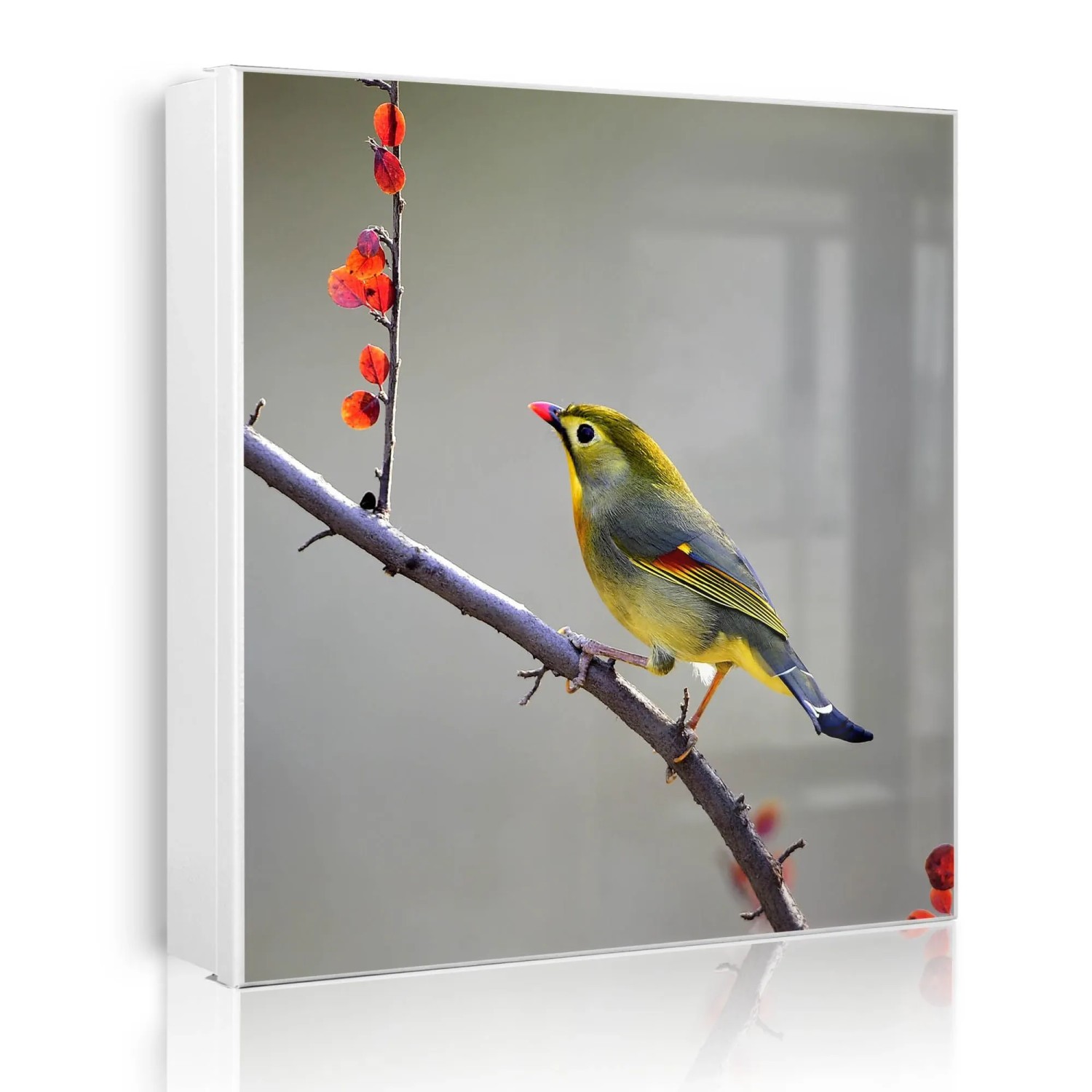 Banjado Großer Schlüsselkasten Metall 30x30cm Weiß Scharnier Links 50 Haken Beschreibbar Magnetisch Motiv Herbst Vogel