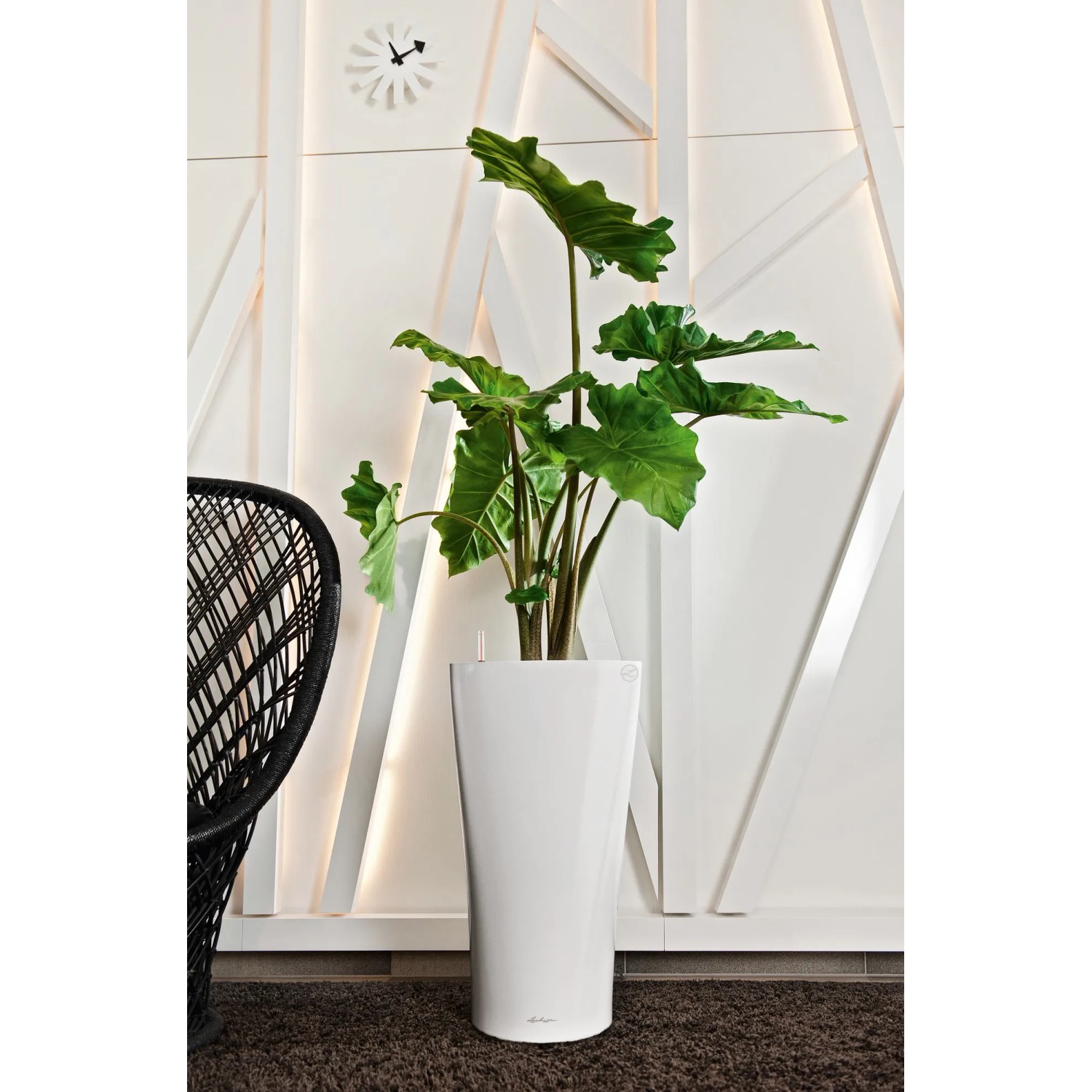 Weiße Lechuza Delta Premium Pflanzsäule, 75 cm hoch, mit grüner Pflanze. Ideal für Innenräume.