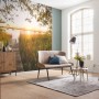 Komar Vlies Fototapete Lakeside, 300x250cm, mit See-Motiv im Wohnraum.