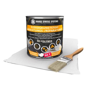 HSS Flüssigkunststoff Set 1kg Grau für Bauabdichtungen mit Pinsel und Vlies.