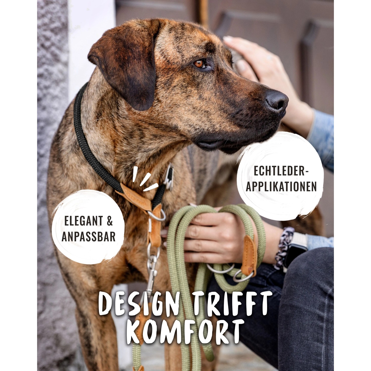 Schwarzes Rudelkönig Zugstopphalsband Größe 6 am Hundehals, verstellbar mit Lederdetails.