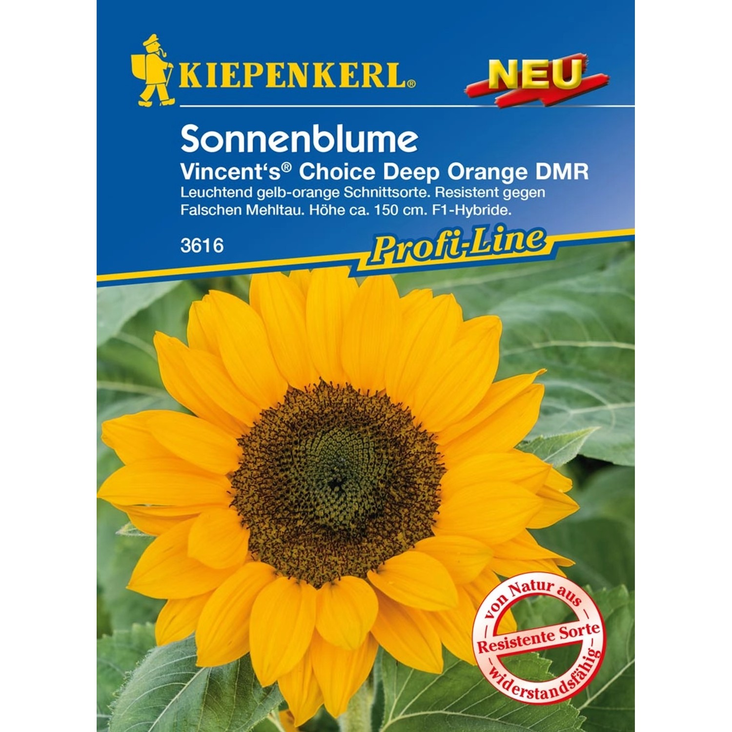 Kiepenkerl Sonnenblume Vincent's® Deep Orange DMR F1-Hybride Orange