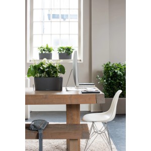 Lechuza Delta 10 Pflanzgefäß in Anthrazit metallic mit Bepflanzung auf einem Tisch.