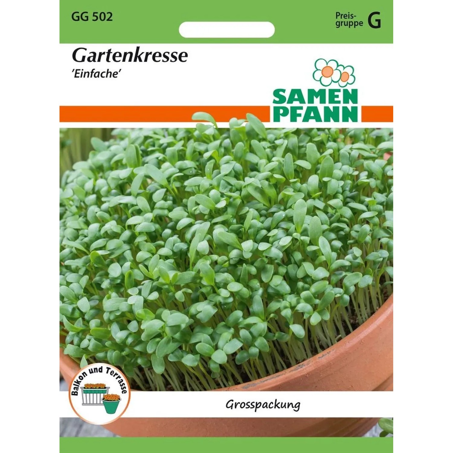 SAMEN PFANN Gartenkresse