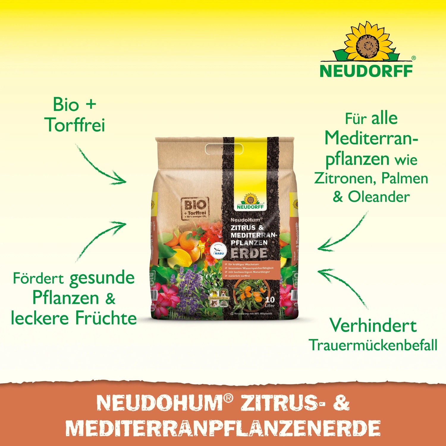 Neudorff NeudoHum Mediterranpflanzen- und Palmenerde, 10 l Sack für Zitrus- und Palmen.