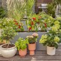 Gardena Tropfbewässerung Set Terrasse für 30 Pflanzen, mit Basisgerät, Rohren und Tropfern.