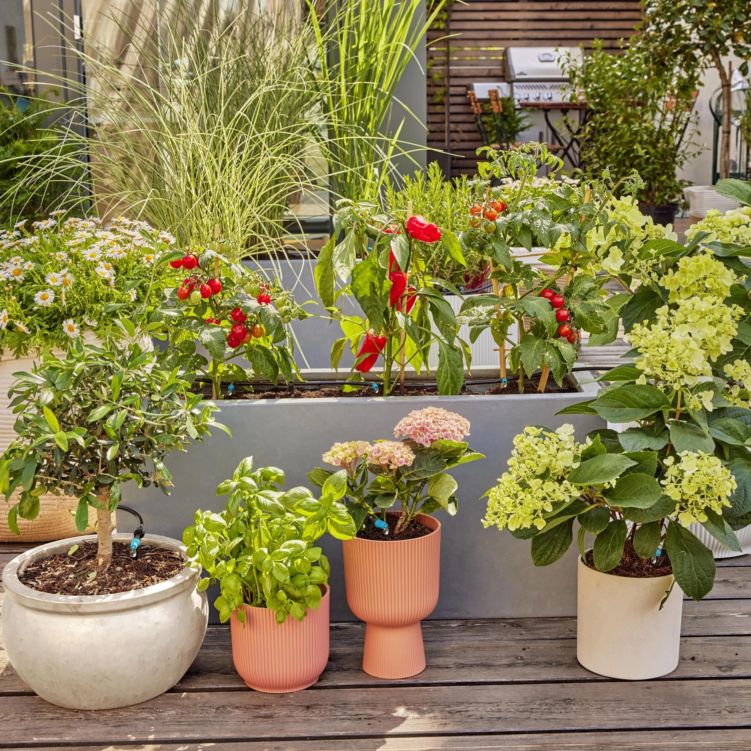 Gardena Tropfbewässerung Set Terrasse für 30 Pflanzen, mit Basisgerät, Rohren und Tropfern.
