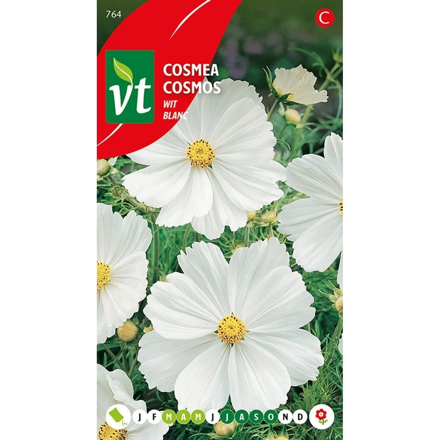 Cosmea 'Blanc' Saatgut ca. 1 g Weiße Blüten