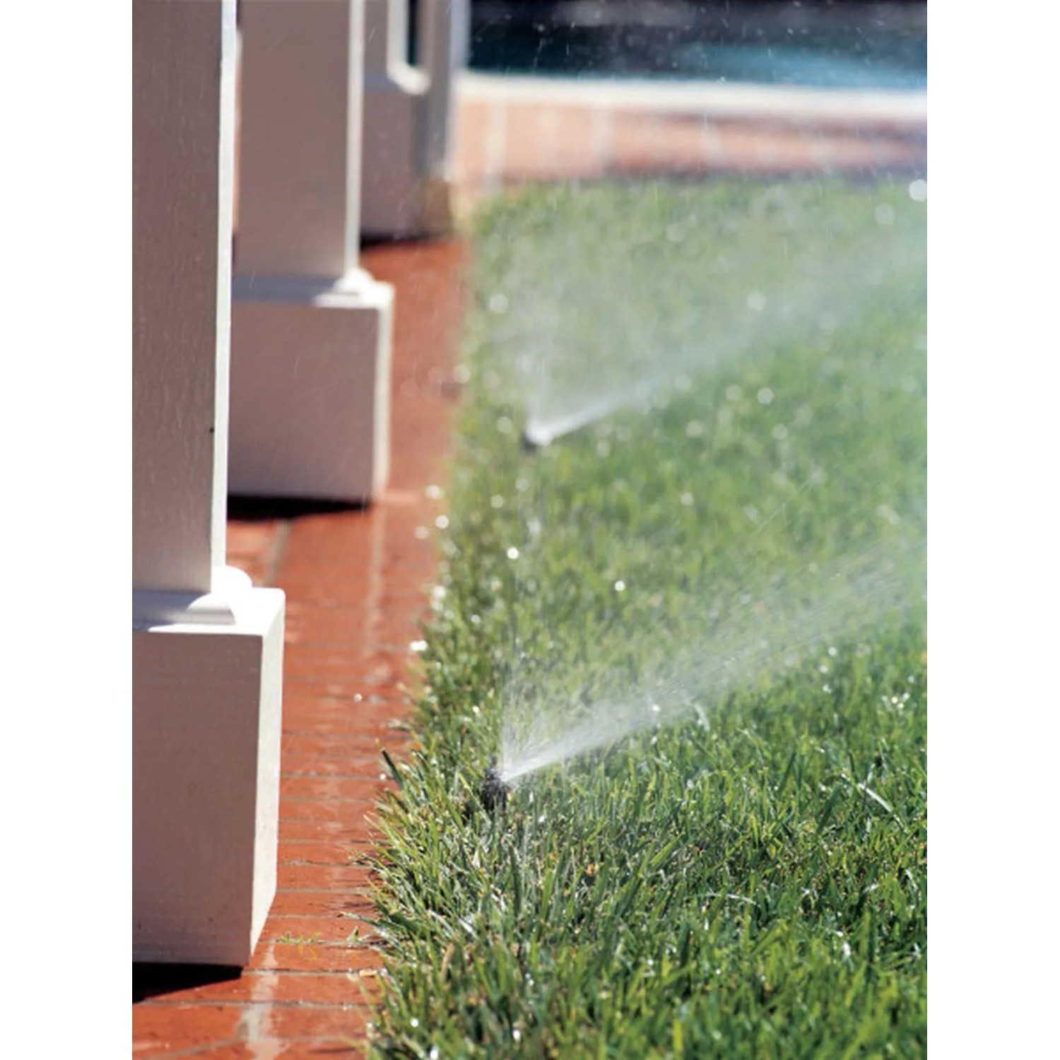 Bewässerung mit Rain Bird Versenkregner: Sprüher im Rasen, der Wasser versprüht.