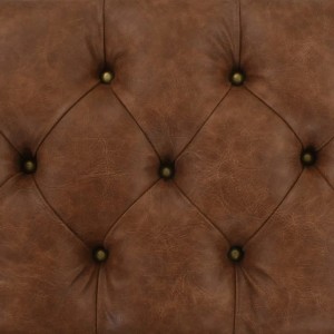 Detailaufnahme: Braune Aufbewahrungsbank aus Kunstleder mit Knopfheftung.