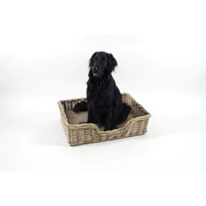Hund sitzt in geflochtenem Kobolo Hundekorb aus Rattan mit Kissen, Größe M.