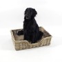 Hund sitzt in geflochtenem Kobolo Hundekorb aus Rattan mit Kissen, Größe M.