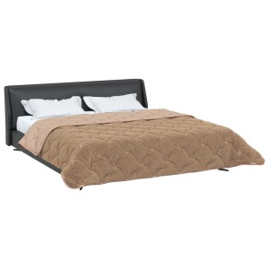 vidaXL Winterbettdecke Taupe 220 x 260 cm Mikrofaser und Teddy-Fleece 42026359