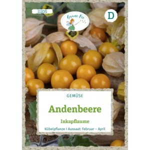 Grüne Fee Andenbeere Inkapflaume Saatgut Packung mit reifen orangen Physalis Früchten.