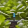 Gardena Kleinflächendüse im Beet: Bewässerung mit Micro-Drip-System, Radius 10-40 cm einstellbar.