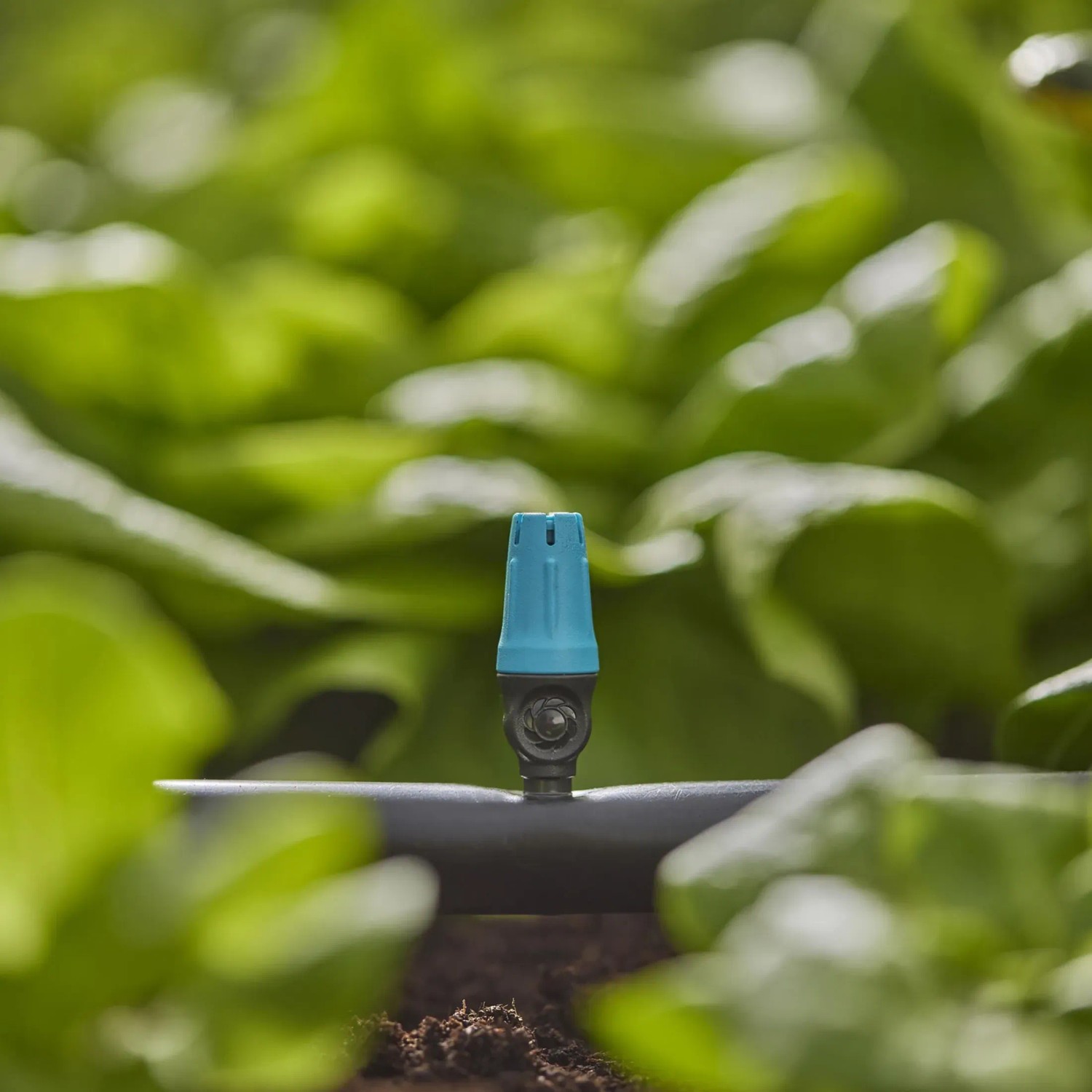 Gardena Kleinflächendüse im Beet: Bewässerung mit Micro-Drip-System, Radius 10-40 cm einstellbar.