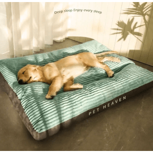 Graues Petsation Hundebett (60 cm) mit schlafendem, hellbraunem Hund darauf.