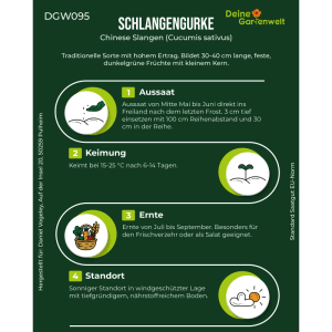 Anbauanleitung für Deine Gartenwelt Freilandsalatgurken Chinese Slangen Samen. Schritte: Aussaat, Keimung, Ernte, Standort.