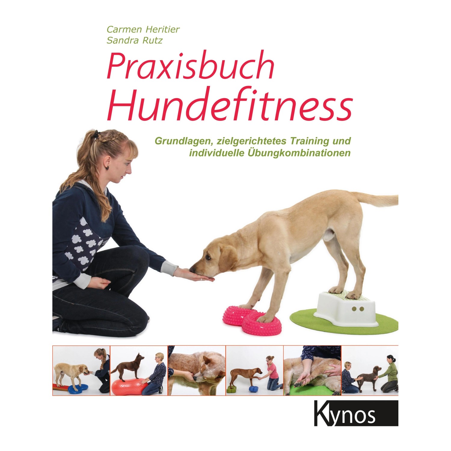 Praxisbuch Hundefitness