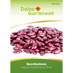 Samen der Buschbohne Augusta: rote Bohnen für den Garten.