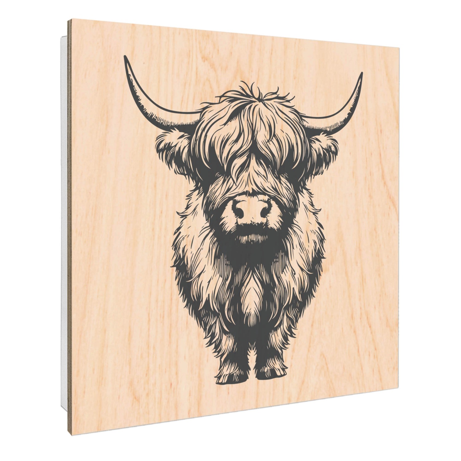 Banjado Großer Schlüsselbox Holz 30x30cm Weiß Scharnier Rechts 50 Haken Sch günstig online kaufen