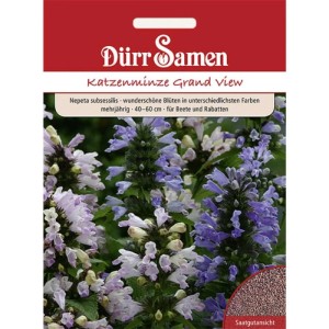Dürr Samen Katzenminze Grand View Saatgutpackung mit lila-weißen Blüten und Samen. Mehrjährig für Garten.