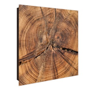 Banjado Schlüsselkasten Glas, 30x30cm, Motiv Jahresringe. Magnetische Glastür, 50 Haken.