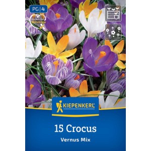 Kiepenkerl großblumige Krokus-Mischung, 15 Zwiebeln, in Lila, Weiß, Gelb und gestreift. Ideal für Garten & Kübel.